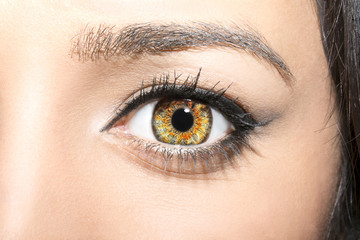 Beautiful insightful look brown woman's eyes