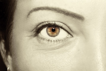 Beautiful insightful look brown vintage woman's eyes