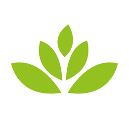 leafs floral nature icon