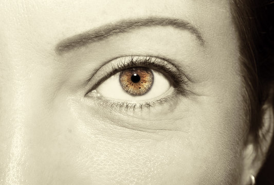 Beautiful insightful look brown vintage woman's eyes