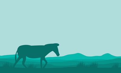 Silhouette of single zebra in hills