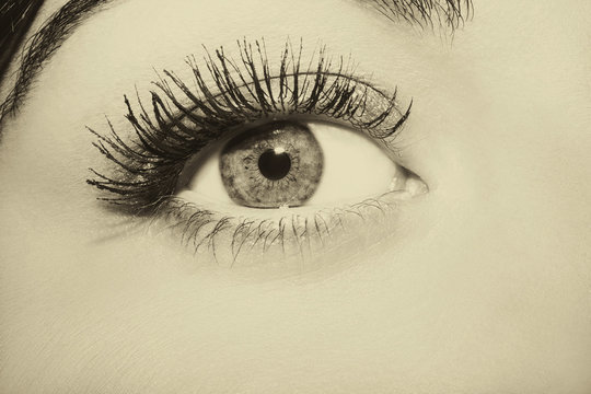 Woman brown eye with extremely long eyelashes. Vintage style