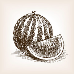 Watermelon fruit hand drawn sketch style vector