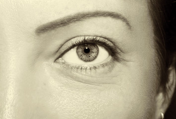 Beautiful insightful look vintage woman's eyes