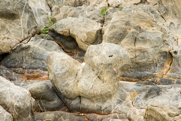 Background of stone texture.