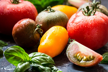 Colorful tomatoes of different sizes and kinds with basil. selec