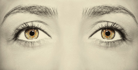 Beautiful insightful look brown vintage woman's eyes.