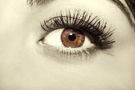 Woman brown eye with extremely long eyelashes. Vintage style