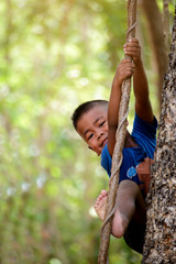 Cute little boy climbing tree