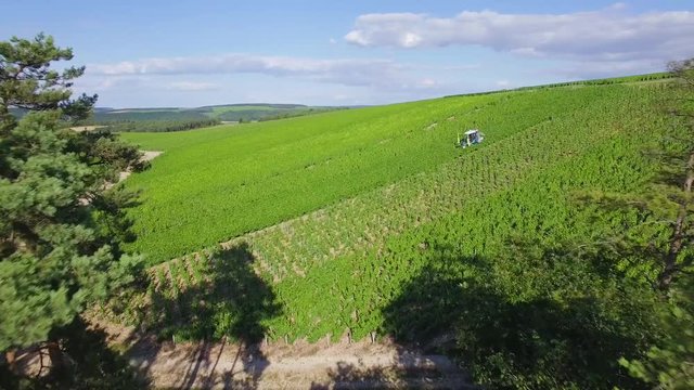 France, Europe, Champagne, Aerial view of Champagne vineyards, Aube department, Les Riceys,  listed as World Heritage by UNESCO , HD Movie (1920X1080)
