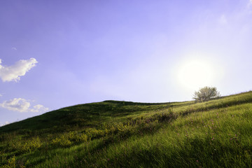 Fototapeta premium Meadow on the hill