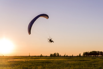 Paraglider
