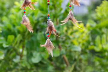 Feathers of dreaamcatcher on green leaves background