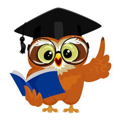 Vector Illustration of an Owl wearing graduation cap while reading book