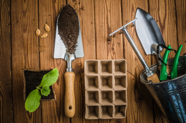 Sprouts and the garden tool, the top view