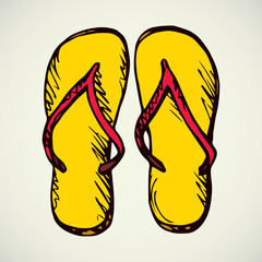 Slippers. Vector drawing