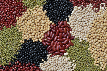 Different multicolor dried legumes for healthy