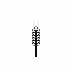 Stalk of ripe barley icon in outline style isolated vector illustration