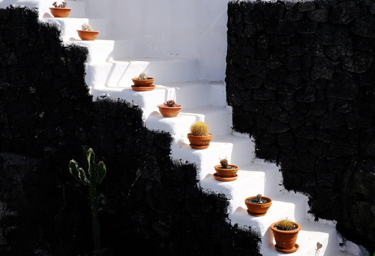 cactus escalier pot fleur mur canaries peinture chaux volcanique