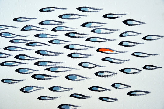 Feeling unique in the crowd orange fish among blue