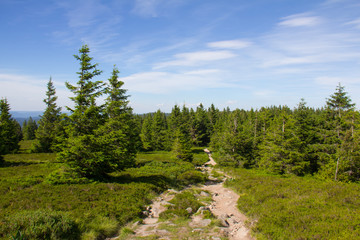 Obraz premium Paysage des Vosges