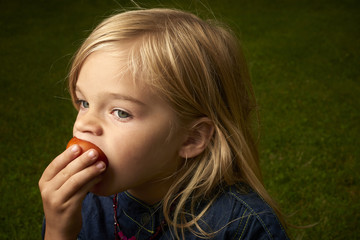 Cute blond child girl eating tomato outside in the garden