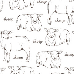 Sheep with thick fur seamless pattern