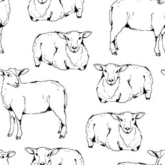 Sheep with thick fur seamless vector pattern