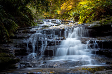 Fototapeta premium Waterfalls in Blue Mountains national park