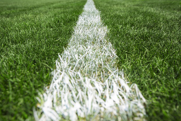 White stripe on the green grass, football and soccer stadium