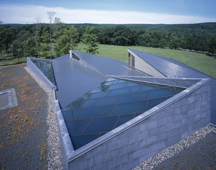 View of a park from the roof tops