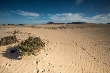 Dunes