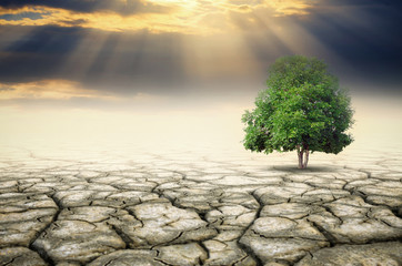 Concept of climate change.
