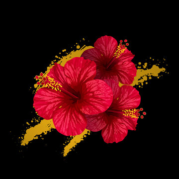 vector hibiscus flower. invitation card.