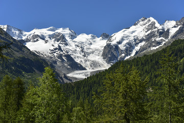 Pontresina Berninagruppe Morteratschgletscher