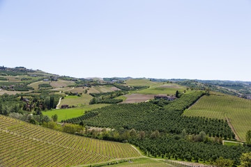 Fototapeta na wymiar Landscape in Langhe region, Italy