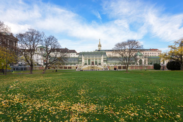 Naklejka na ściany i meble Vienna park with autumn yellow leaves on grass. Austria