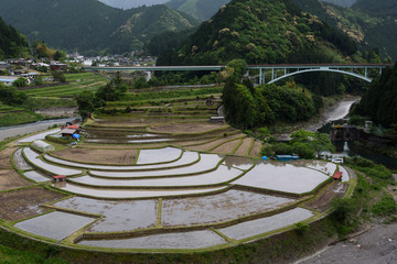 あらぎ島