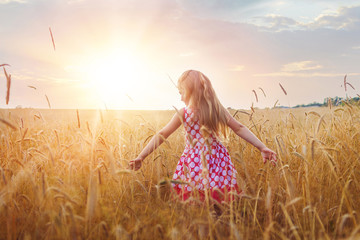 Little girl on a wheat field with her arms outstretched in the sunset.
