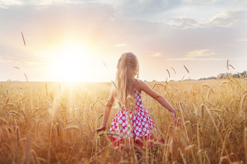Little girl on a wheat field with her arms outstretched in the sunset. © A.Kazak