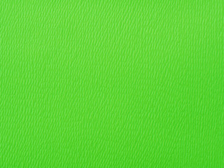 texture of green leather