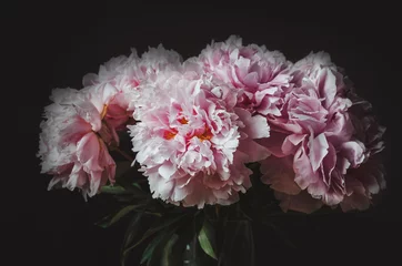 Beautiful bouquet of pink peony flower on black background. Peonies summer. Love floral. Macro image. card, text, copy space.