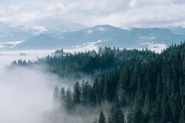 Crédence de cuisine en verre imprimé Forêt dans le brouillard Paysage de montagne avec forêt de sapins et brouillard