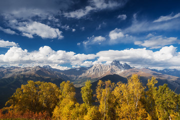 Autumn Landscape with birch forest and mountain range