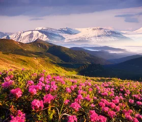Papier Peint photo Été Summer landscape with flowering mountain slopes