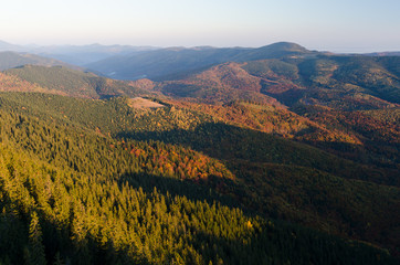 Autumn Landscape with a forest in the mountains