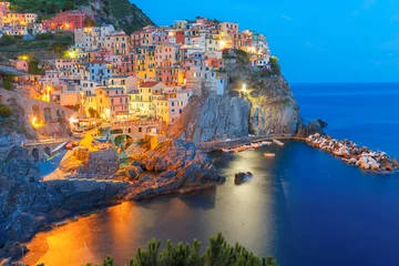 Washable wall murals Liguria Aerial night view of Manarola fishing village, seascape in Five lands, Cinque Terre National Park, Liguria, Italy.