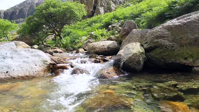 Crystal Clear Water of Mountain Creek in Wales