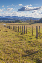 Fototapeta na wymiar Wood fence in a farm