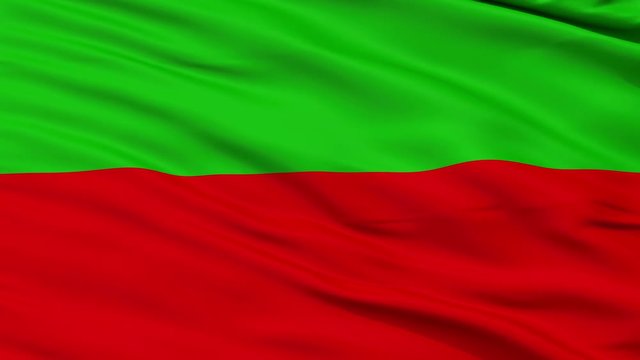 Kingdom of Talossa Micronation Flag, Close Up Realistic 3D Animation, Seamless Loop - 10 Seconds Long